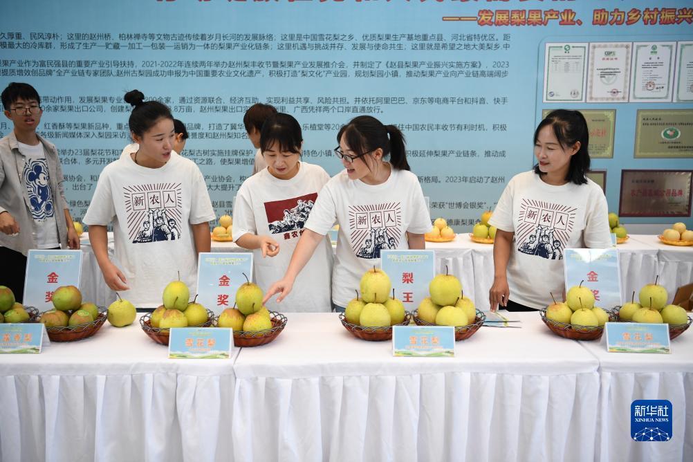 百盛娱乐经典电子游戏